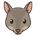 Bandicoot Boost