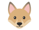 DingoEdge