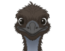 EmuRun